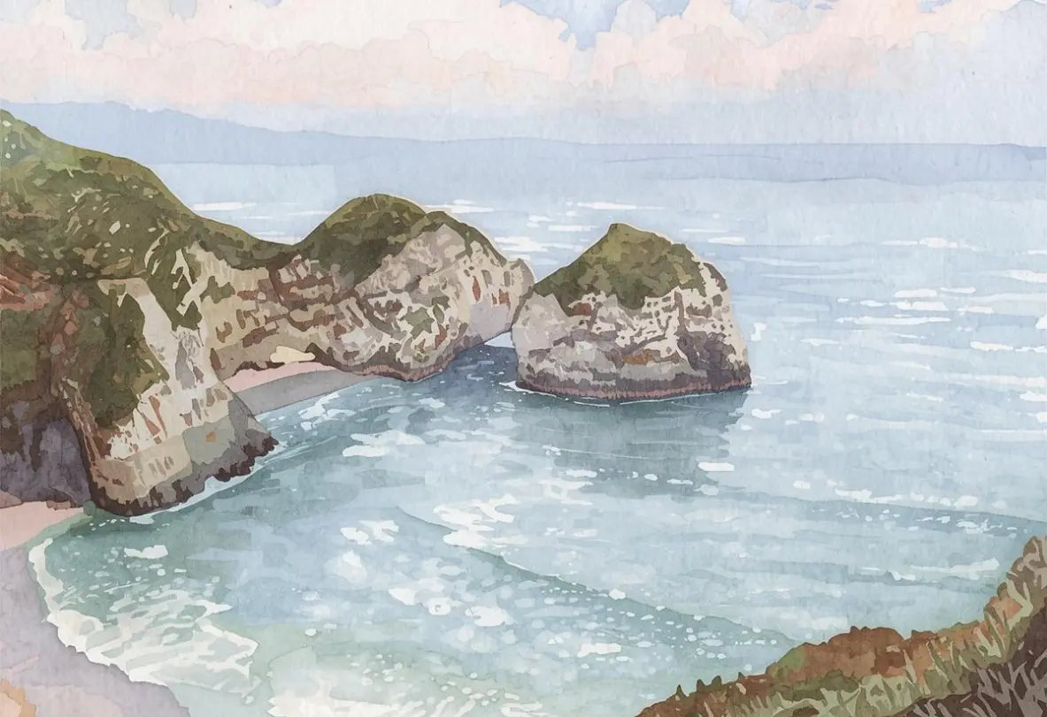 An image of banner orchid theme