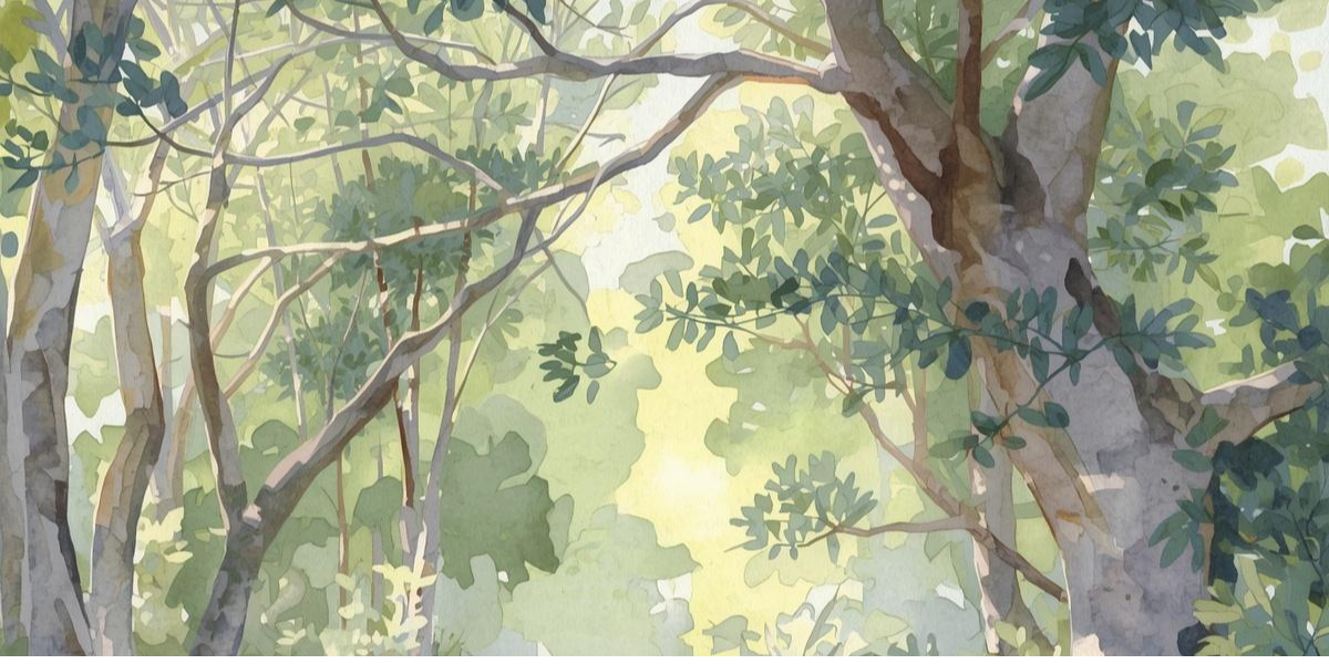 Background image for hotel listing